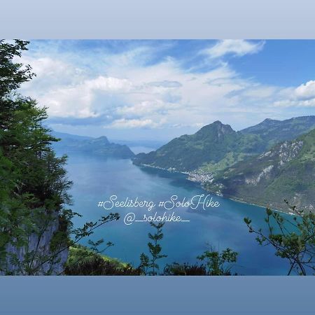 Schoene Ferienwohnung In Traumlage Fewo Solohike Seelisberg Exterior foto