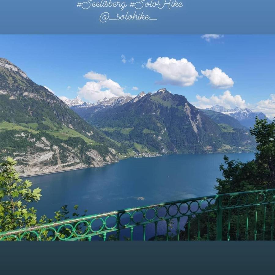 Schoene Ferienwohnung In Traumlage Fewo Solohike Seelisberg Exterior foto